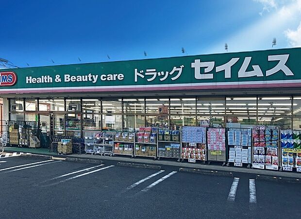 ドラッグセイムス　柏根戸店（1100m）