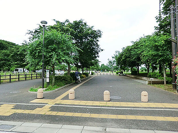 中原ふれあい防災公園（220m）