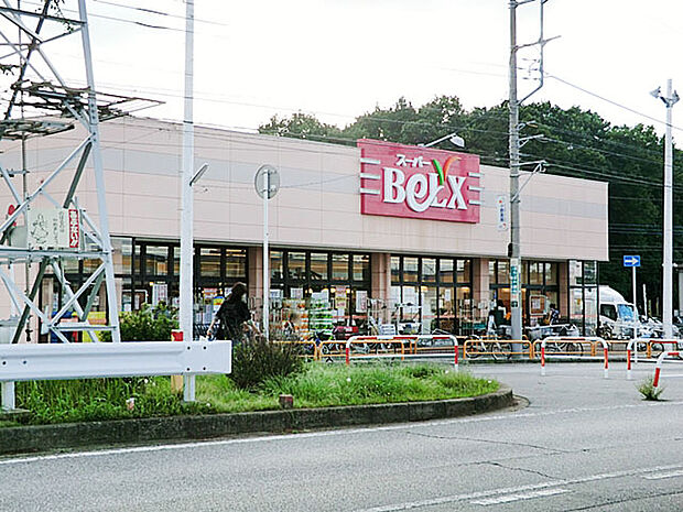 ベルクス柏つくしが丘店（550m）