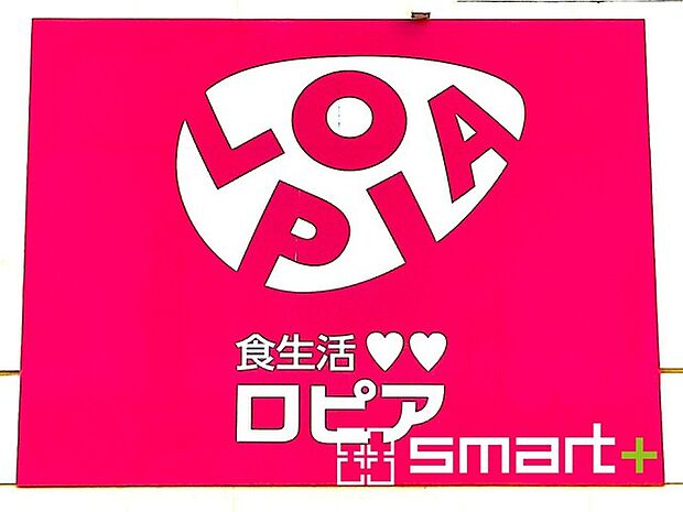 ロピア柏コジマ店（1000m）