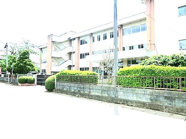 今鹿島小学校（700m）