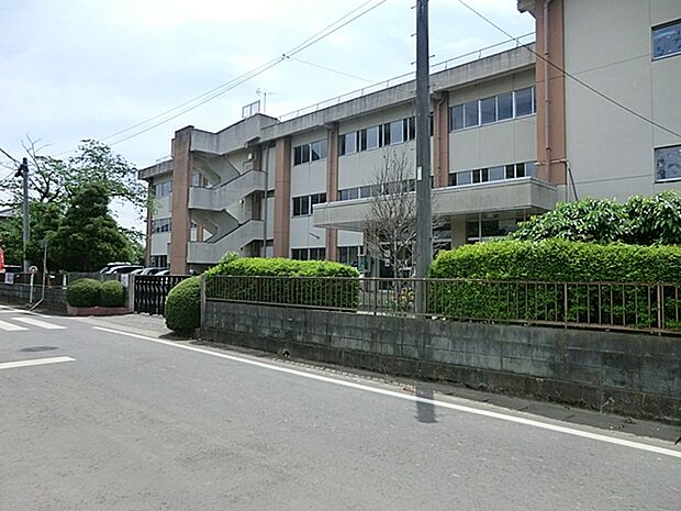 今鹿島小学校(700m)