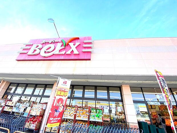 ベルクス　柏つくしが丘店（850m）