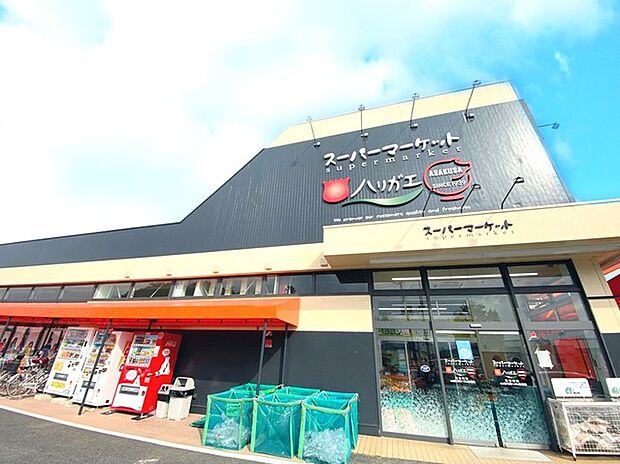 スーパー　ハリガエ（850m）