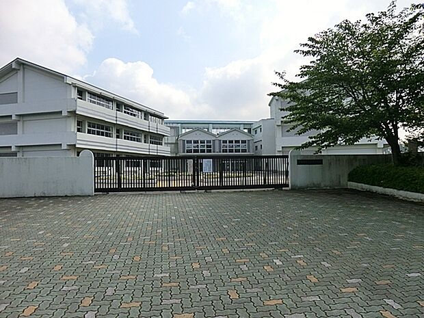 大井沢小学校(585m)
