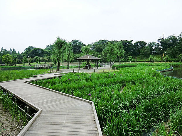 四季の里公園（93m）