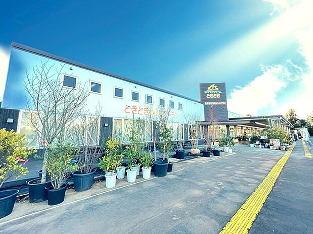 ポケットファームどきどきつくば店(1900m)