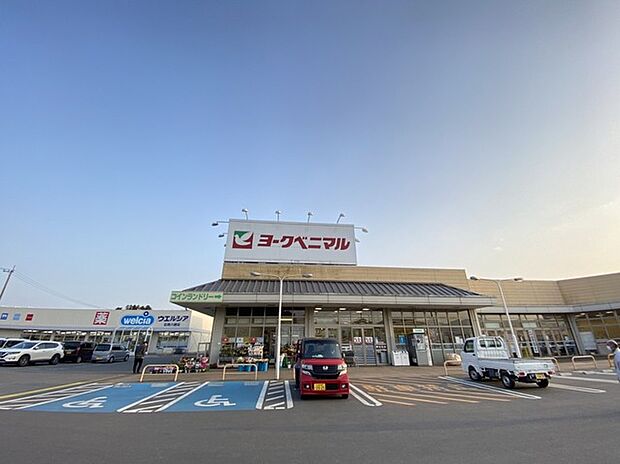 ヨークベニマル 八郷店(4700m)