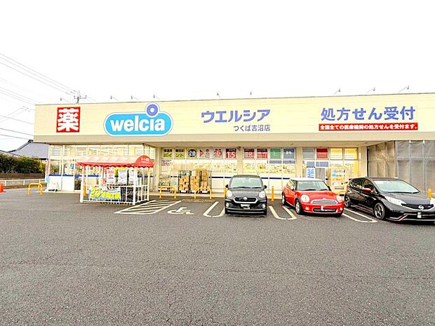 ウェルシアつくば吉沼店(3100m)