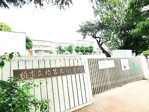 柏第五小学校(1600m)