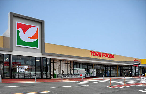 ヨークフーズ 柏の葉公園店(1000m)