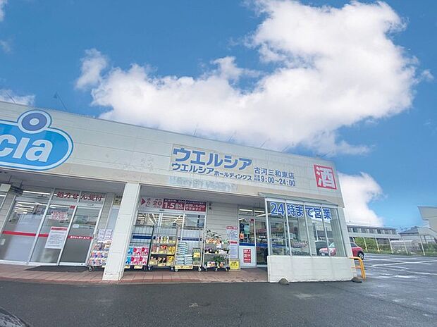 ウエルシア古河三和東店(498m)