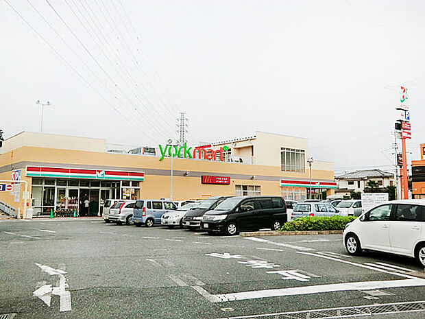 ヨークマート青葉台店（650m）