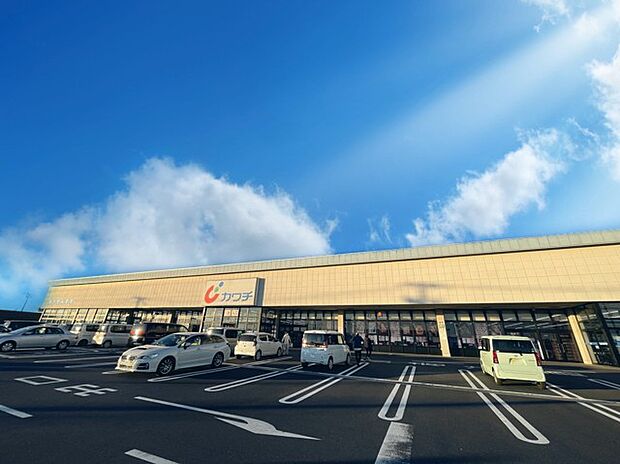 カワチ　竜ヶ崎店（600m）