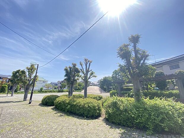 柏田第一号街区公園 (1000m)