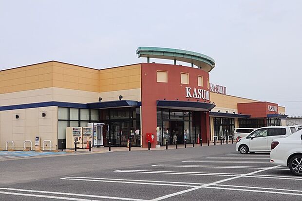 カスミ谷井田店(700m)