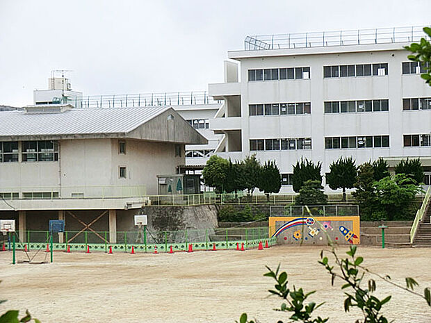 我孫子第一小学校(450m)