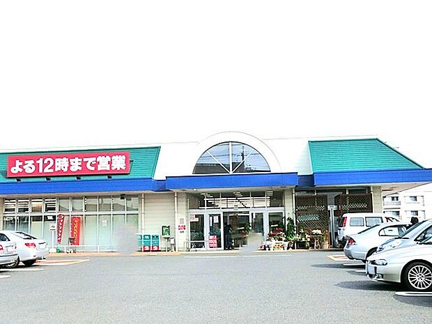 カスミ大穂店(1600m)