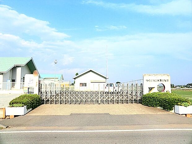 大穂幼稚園(3300m)