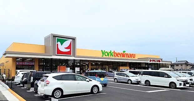 ヨークベニマル　土浦生田町店（170m）