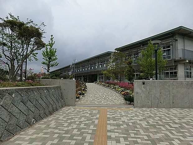 美郷台小学校(78m)
