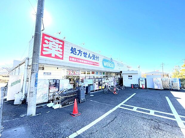 ウエルシア流山店(650m)