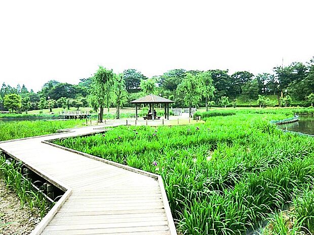 四季の里公園(70m)