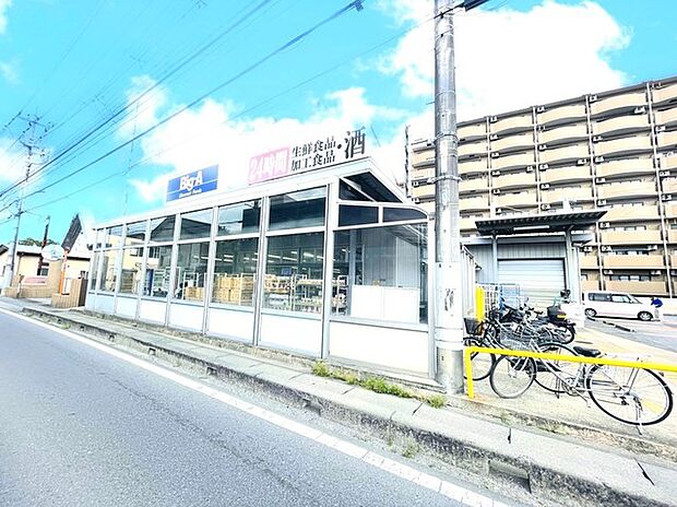 ビッグ・エー取手白山店(1100m)