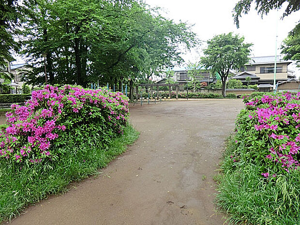 天王台東公園（550m）