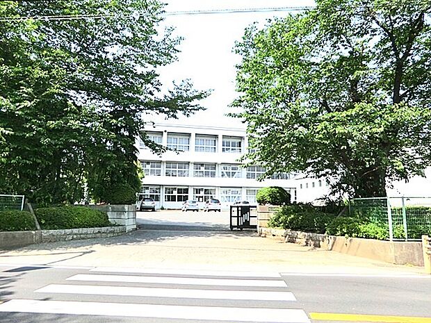八木中学校　（1500m）