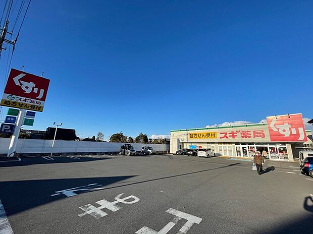 スギドラッグ野田下町店(260m)
