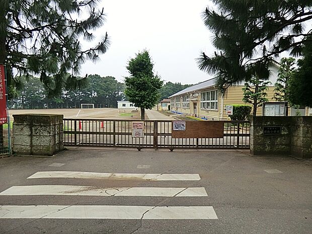 絹西小学校(1970m)