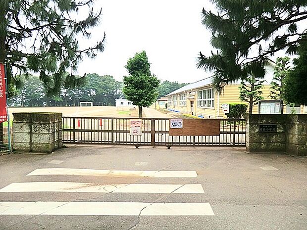 絹西小学校(1970m)
