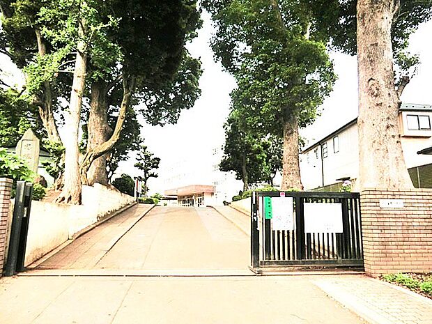 富勢小学校(650m)