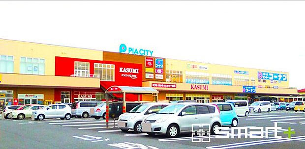 ピアシティ柏中新宿(170m)