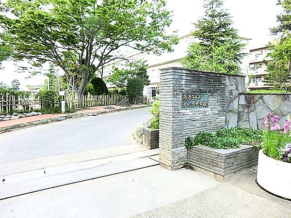 湖北台中学校（650m）