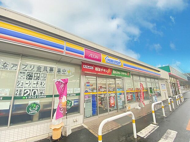 ミニスットップ 竜ケ崎白羽店(1200m)