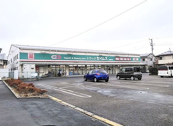 ドラッグセイムス　柏花野井店（700m）