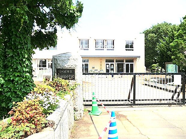 谷田部小学校（2600m）