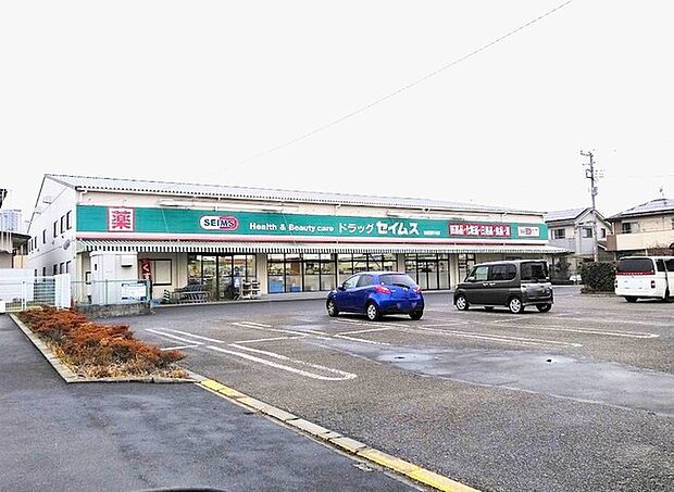 ドラッグセイムス 柏花野井店(1000m)
