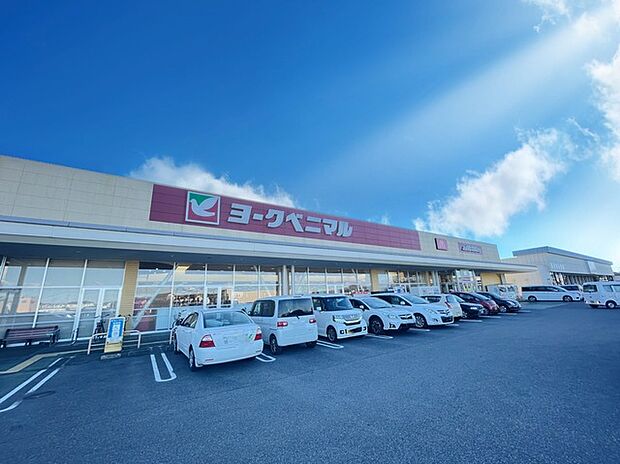 ヨークベニマル 千代田モール店(680m)