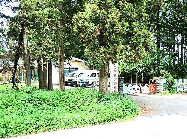 アカデミア幼稚園(1100m)