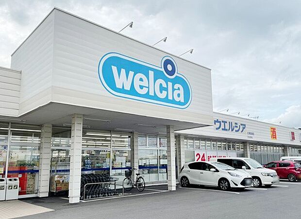 ウエルシア 土浦真鍋店 (1100m)