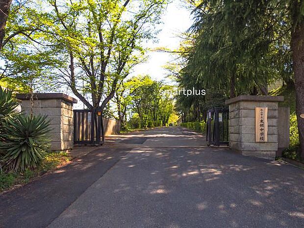 東部中学校(1100m)