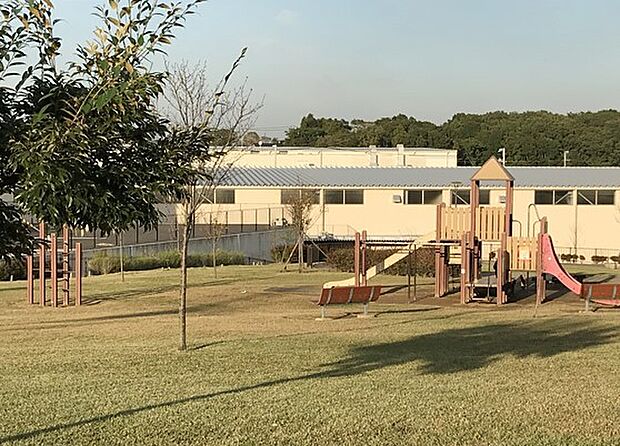 ゆめみ野公園(800m)