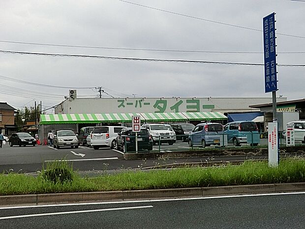 タイヨー成田店(500m)