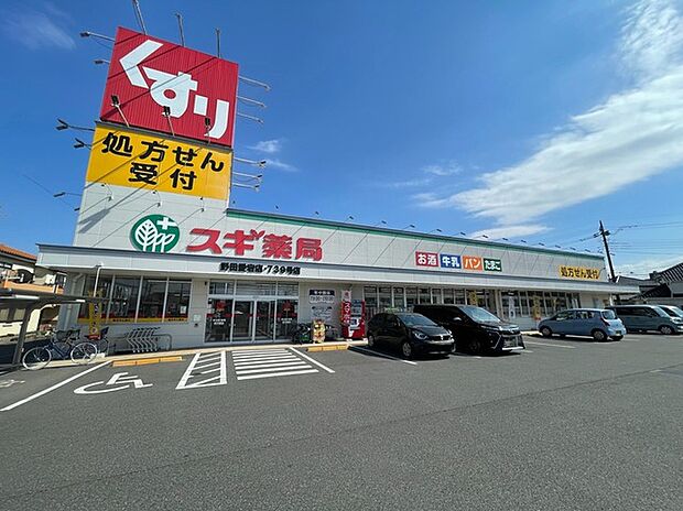 スギ薬局 野田愛宕店(1200m)