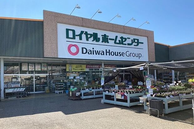 ロイヤルホームセンター南増尾店(1500m)