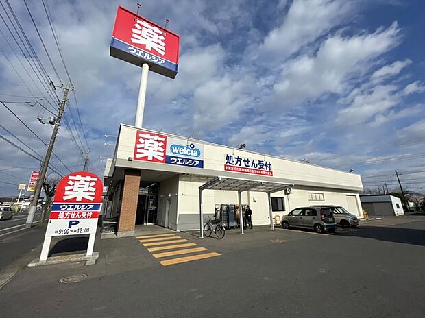 ウエルシア 龍ケ崎緑町店(110m)