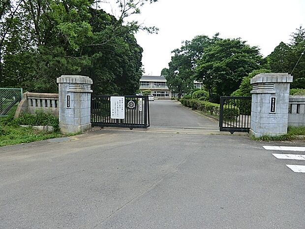 龍ケ崎小学校(590m)